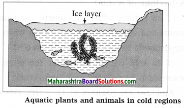 Maharashtra Board Class 10 Science Solutions Part 1 Chapter 5 Heat 6