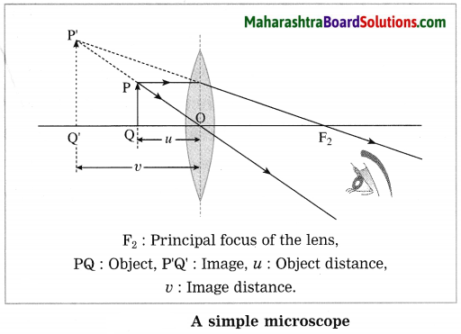 Maharashtra Board Class 10 Science Solutions Part 1 Chapter 7 Lenses 53