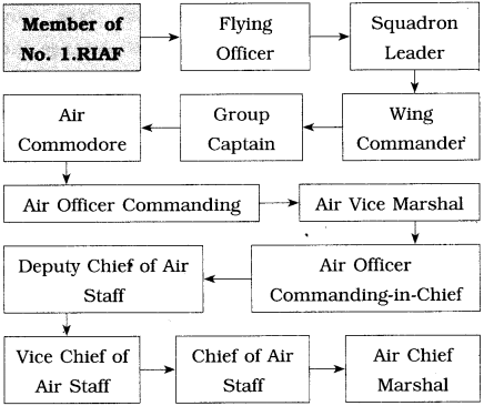 Maharashtra Board Class 10 English Solutions Unit 1.3 On Wings of Courage 2