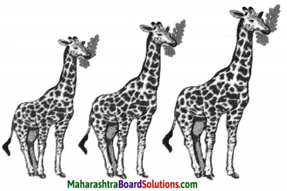 Maharashtra Board Class 10 Science Solutions Part 2 Chapter 1 Heredity and Evolution 7
