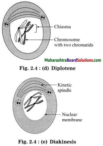 Maharashtra Board Class 10 Science Solutions Part 2 Chapter 2 Life Processes in living organisms Part - 1, 6