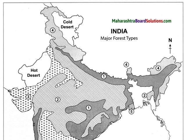 Maharashtra Board Class 10 Geography Solutions Chapter 5 Natural Vegetation and Wildlife 13