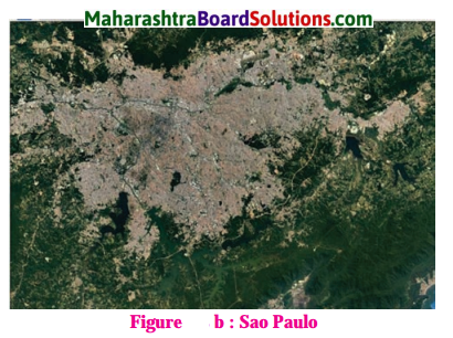 Maharashtra Board Class 10 Geography Solutions Chapter 7 Human Settlements 10