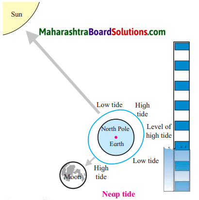 Maharashtra Board Class 7 Geography Solutions Chapter 3 Tides 8