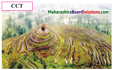 Maharashtra Board Class 7 Geography Solutions Chapter 7 Soils 2