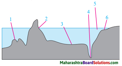 Maharashtra Board Class 8 Geography Solutions Chapter 4 Structure of Ocean Floor 1