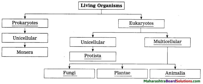 Maharashtra Board Class 8 Science Solutions Chapter 1 Living World and Classification of Microbes 2