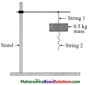 Maharashtra Board Class 8 Science Solutions Chapter 3 Force and Pressure 15