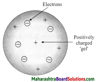 Maharashtra Board Class 8 Science Solutions Chapter 5 Inside the Atom 2