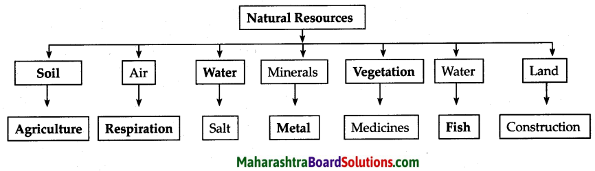 Maharashtra Board Class 6 Geography Solutions Chapter 8 Natural Resources 2