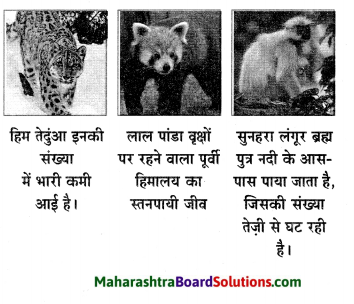 Maharashtra Board Class 6 Hindi Solutions Chapter 8 टीटू और चिंकी 4