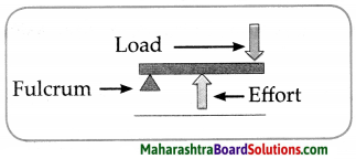 Maharashtra Board Class 6 Science Solutions Chapter 12 Simple Machines 8