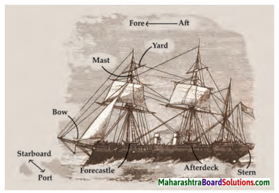 Maharashtra Board Class 7 English Solutions Chapter 2.6 Chasing the Sea Monster 1