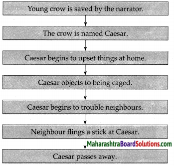 Maharashtra Board Class 7 English Solutions Chapter 3.3 A Crow in the House 1