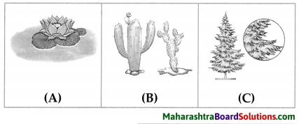 Maharashtra Board Class 7 Science Solutions Chapter 1 The Living World Adaptations and Classification 4