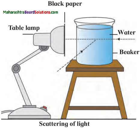 Maharashtra Board Class 7 Science Solutions Chapter 17 Effects of Light 5