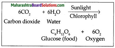 Maharashtra Board Class 7 Science Solutions Chapter 4 Nutrition in Living Organisms 1