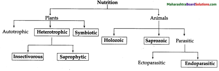 Prepare And Complete The Flowchart According To Type Of Nutrition Maharashtra Board Class 7 Science Solutions Chapter 4 Nutrition in