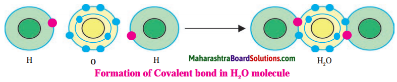 Maharashtra Board Class 8 Science Solutions Chapter 13 Chemical Change and Chemical Bond 6