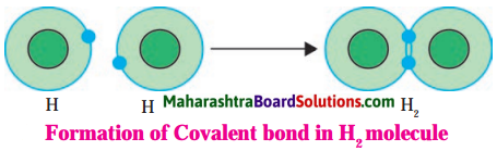 Maharashtra Board Class 8 Science Solutions Chapter 13 Chemical Change and Chemical Bond 7