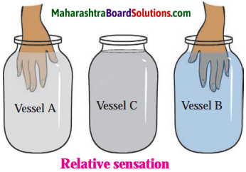 Maharashtra Board Class 8 Science Solutions Chapter 14 Measurement and Effects of Heat 10