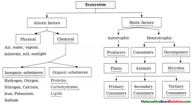 Maharashtra Board Class 8 Science Solutions Chapter 18 Ecosystems 10