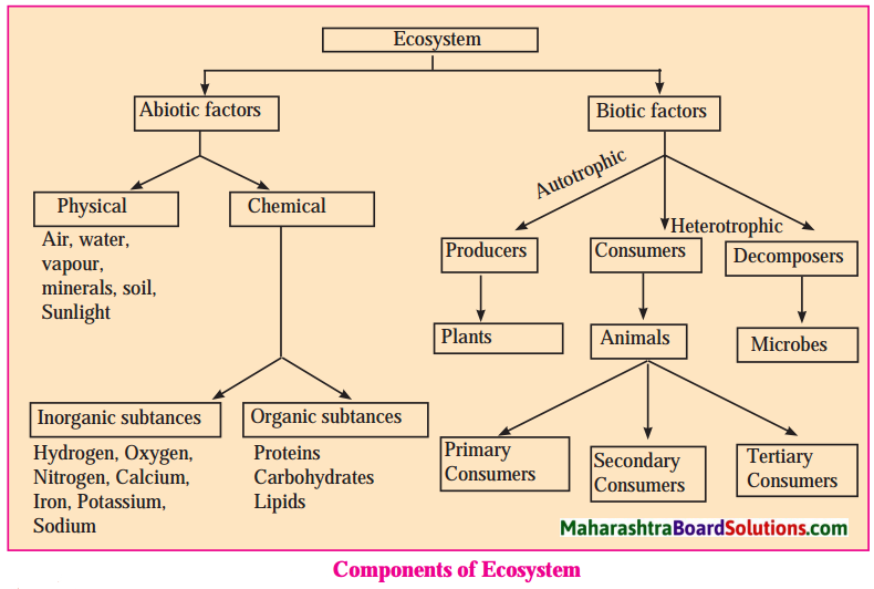 Maharashtra Board Class 8 Science Solutions Chapter 18 Ecosystems 9