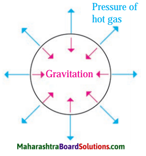 Maharashtra Board Class 8 Science Solutions Chapter 19 Life Cycle of Stars 5