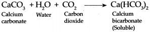 Maharashtra Board Class 9 Science Solutions Chapter 13 Carbon An Important Element 11