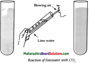 Maharashtra Board Class 9 Science Solutions Chapter 13 Carbon An Important Element 24