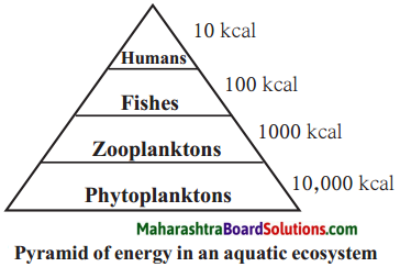 Maharashtra Board Class 9 Science Solutions Chapter 7 Energy Flow in an Ecosystem 2
