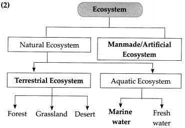 Maharashtra Board Class 9 Science Solutions Chapter 7 Energy Flow in an Ecosystem 3