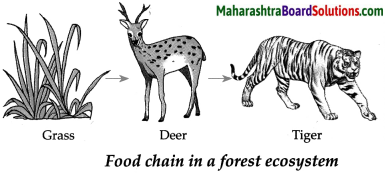 Maharashtra Board Class 9 Science Solutions Chapter 7 Energy Flow in an Ecosystem 6