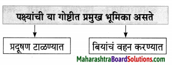 Maharashtra Board Class 7 Marathi Solutions Chapter 5.1 दादास पत्र 4