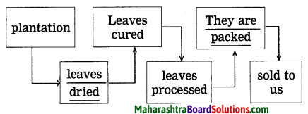 Maharashtra Board Class 9 My English Coursebook Solutions Chapter 1.4 The Story of Tea 4
