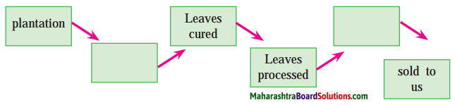 Maharashtra Board Class 9 My English Coursebook Solutions Chapter 1.4 The Story of Tea 5