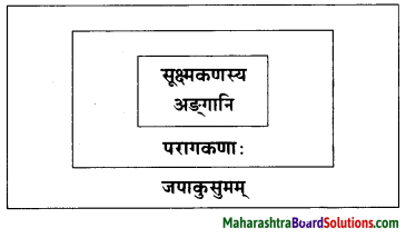 Maharashtra Board Class 10 Sanskrit Amod Solutions Chapter 5 स एव परमाणुः 5