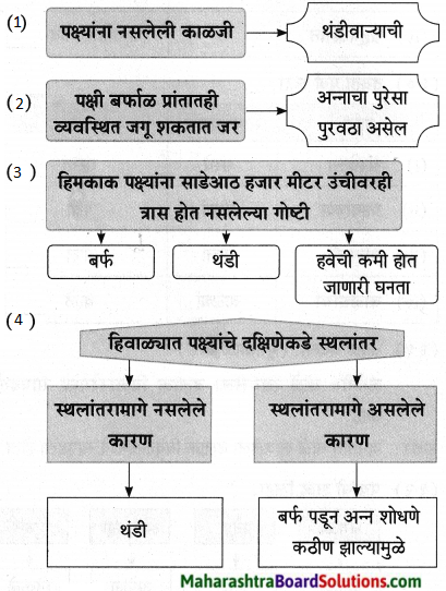 Maharashtra Board Class 9 Marathi Aksharbharati Solutions Chapter 11 आभाळातल्या पाऊलवाटा 23