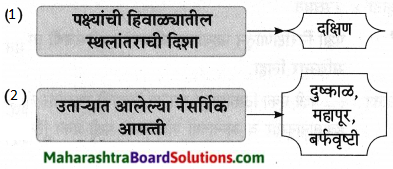 Maharashtra Board Class 9 Marathi Aksharbharati Solutions Chapter 11 आभाळातल्या पाऊलवाटा 24