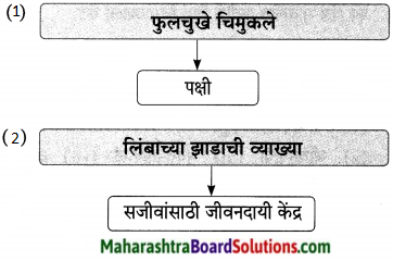 Maharashtra Board Class 9 Marathi Aksharbharati Solutions Chapter 14 ते जीवनदायी झाड 16