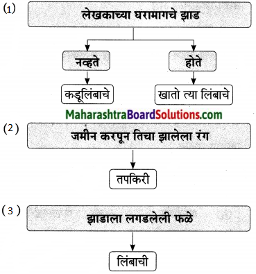 Maharashtra Board Class 9 Marathi Aksharbharati Solutions Chapter 14 ते जीवनदायी झाड 5