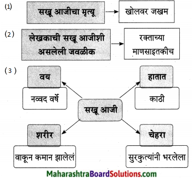 Maharashtra Board Class 9 Marathi Aksharbharati Solutions Chapter 8 सखू आजी 5