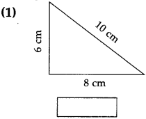 Maharashtra Board Class 5 Maths Solutions Chapter 12 Perimeter and Area Problem Set 50 3