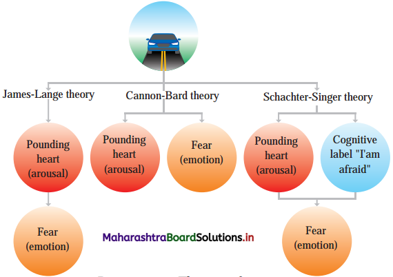 Maharashtra Board Class 12 Psychology Important Questions Chapter 5 Emotions 2