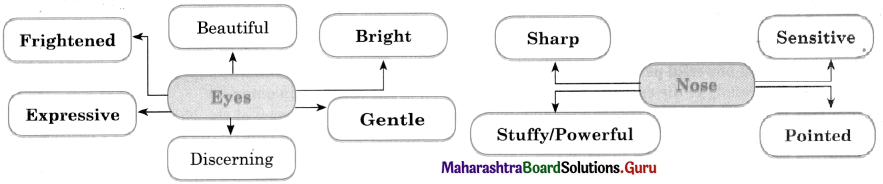 Maharashtra Board Class 11 English Yuvakbharati Solutions Chapter 2.5 Nose Versus Eyes 2