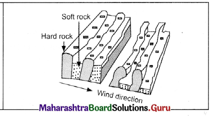 Maharashtra Board Class 11 Geography Important Questions Chapter 3 Agents of Erosion 1