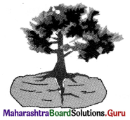 Maharashtra Board Class 11 Geography Solutions Chapter 2 Weathering and Mass Wasting 3