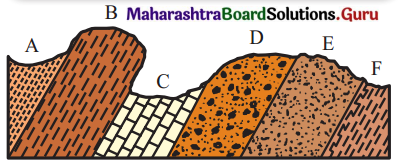 Maharashtra Board Class 11 Geography Solutions Chapter 2 Weathering and Mass Wasting 5