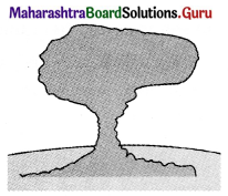 Maharashtra Board Class 11 Geography Solutions Chapter 3 Agents of Erosion 3