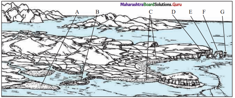 Maharashtra Board Class 11 Geography Solutions Chapter 3 Agents of Erosion 5
